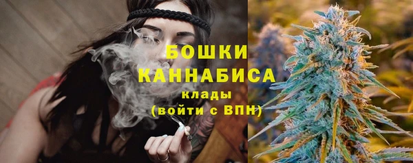 PSILOCYBIN Аркадак