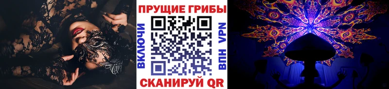 Купить где  Андреаполь  Псилоцибиновые грибы ЛСД 